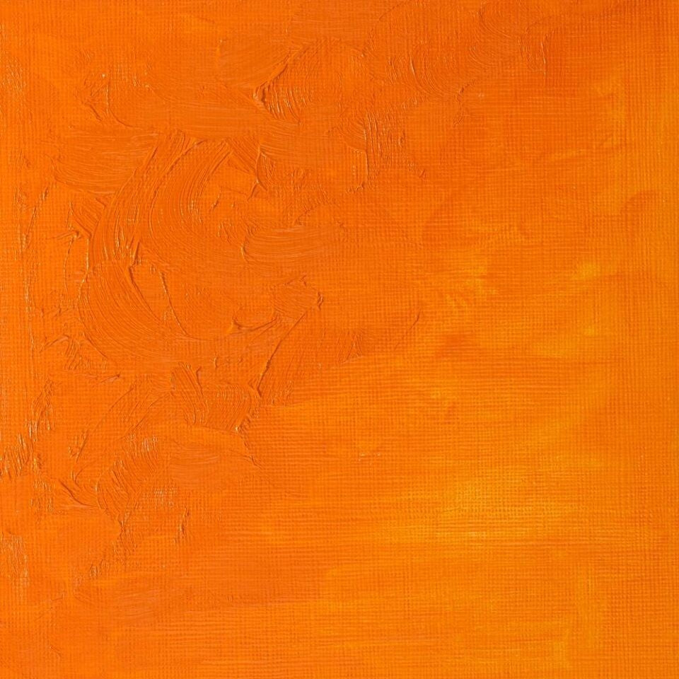 WINSOR & NEWTON WINTON OIL COLOUR 37ML CADMIUM ORANGE