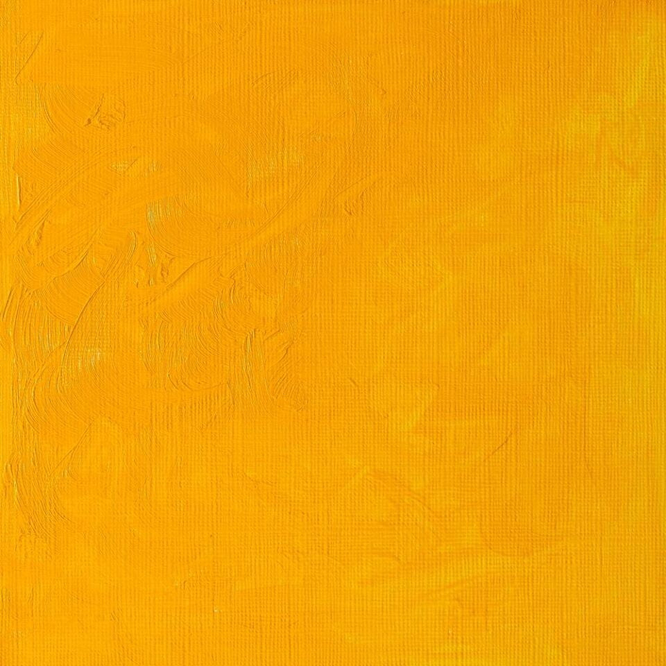 WINSOR & NEWTON WINTON OIL COLOUR 37ML CADMIUM YELLOW MEDIUM