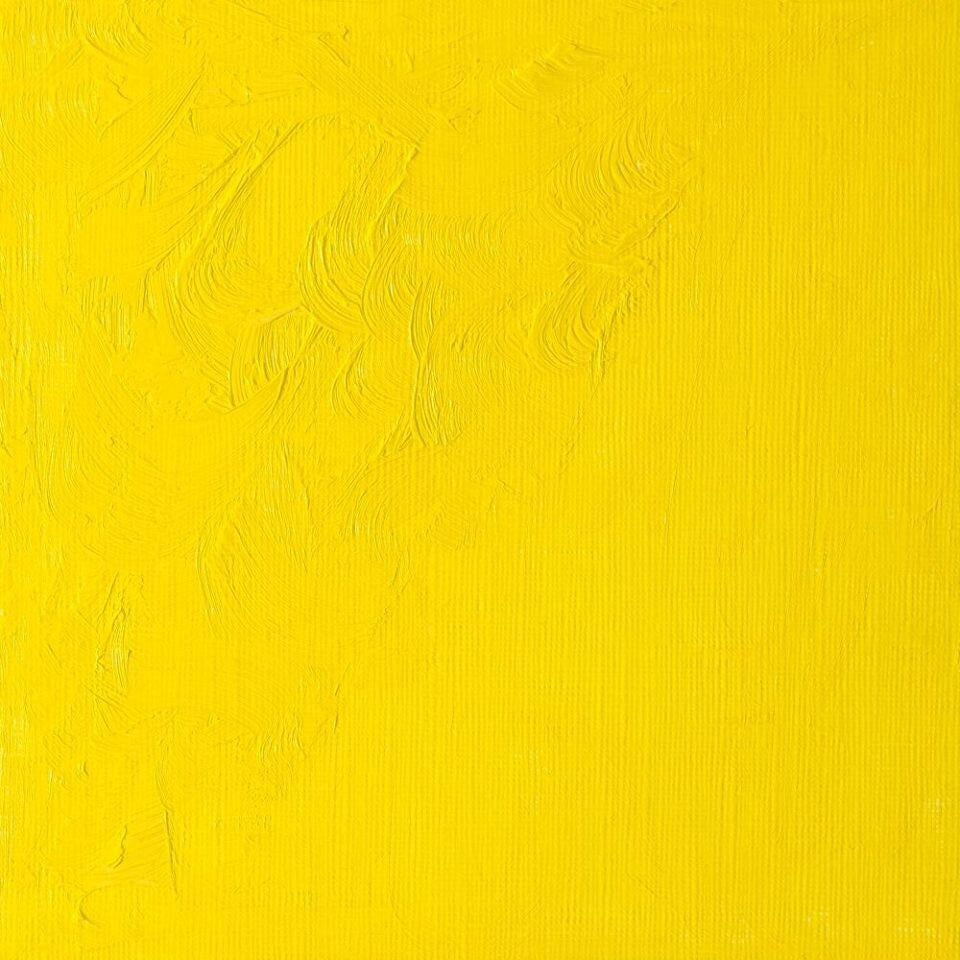 WINSOR & NEWTON WINTON OIL COLOUR 37ML CADMIUM LEMON