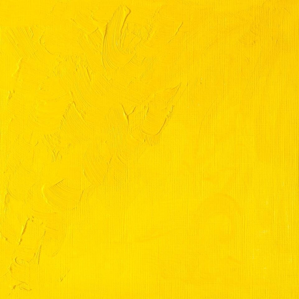 WINSOR & NEWTON WINTON OIL COLOUR 37ML CADMIUM YELLOW LIGHT