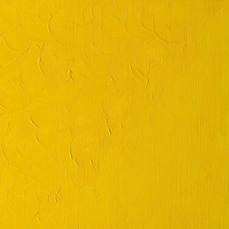 WINSOR & NEWTON WINTON OIL COLOUR 37ML CADMIUM YELLOW PALE HUE